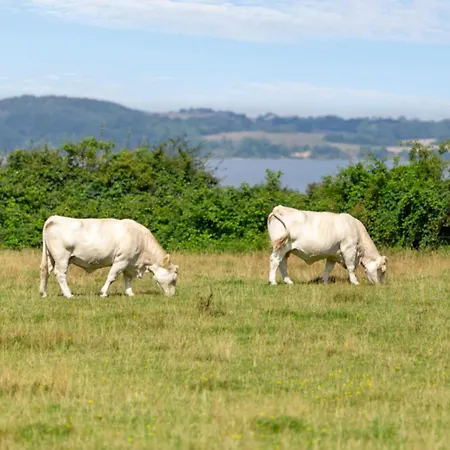 Amazing In With Wifi Feriehus *