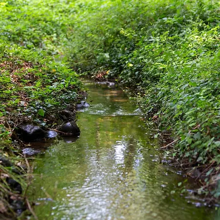 Feriehus Amazing In With Wifi